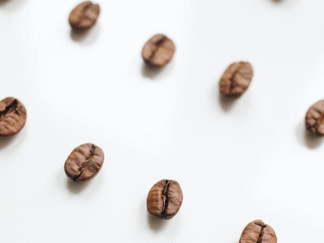 Deliciosas galletas de café para decorar tu mesa&nbsp;navideña